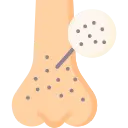 پک جوش های سرسیاه